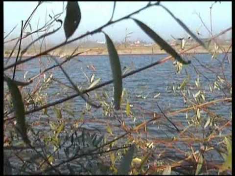 A Caccia di Acquatici sul Danubio
