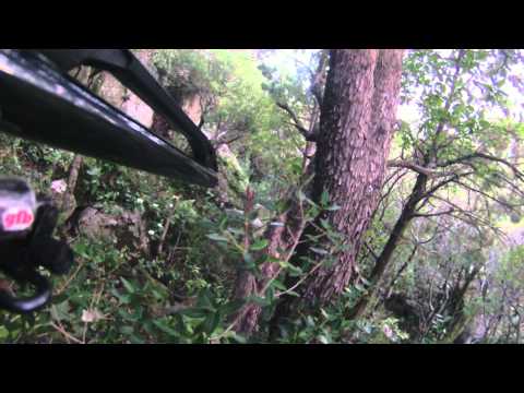 Caccia al Cinghiale – Giornata di chiusura