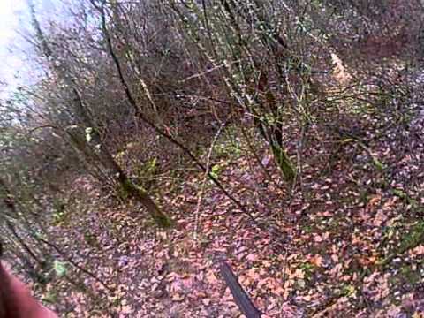 Caccia alla Lepre con il cal.16