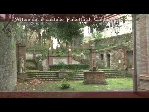 Caccia e Cinofilia