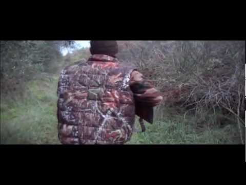 Caccia ai Tordi nel senese