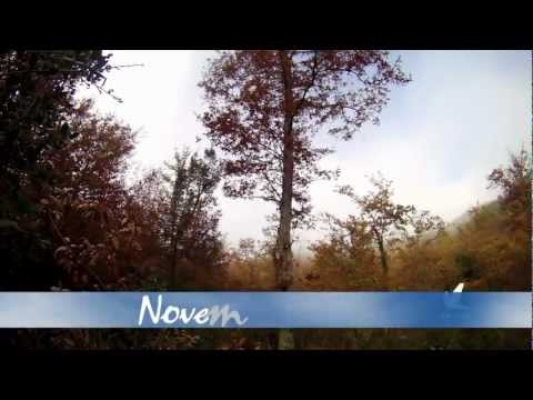 Caccia ai Colombacci da Palco