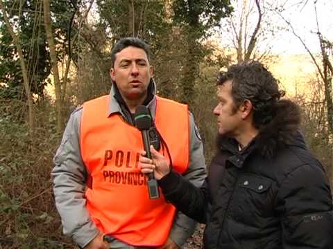 Caccia alla Volpe nelle Marche – 1a Parte