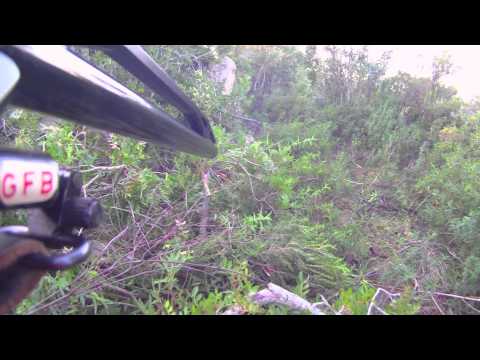 Caccia al Cinghiale – 1a Parte