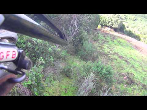 Caccia al cinghiale – 2a Parte