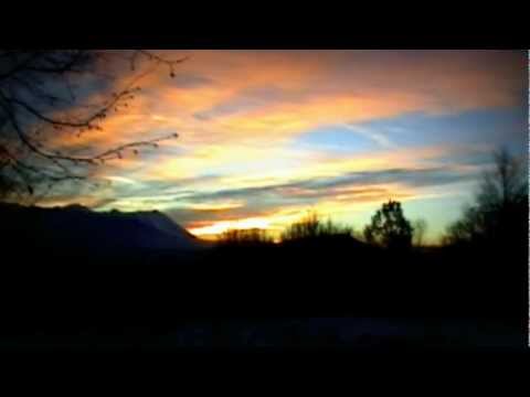 Caccia al cinghiale … Daino carica bassotto – 1° tempo