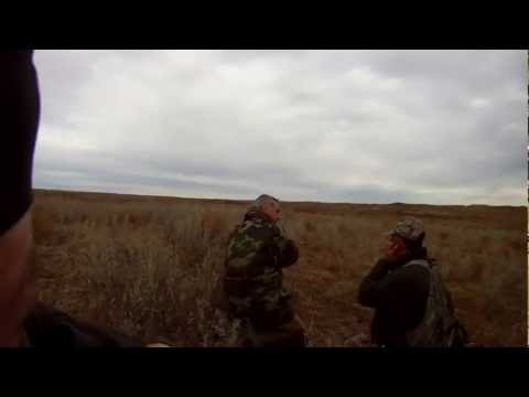 Caccia alle Antilopi in Argentina