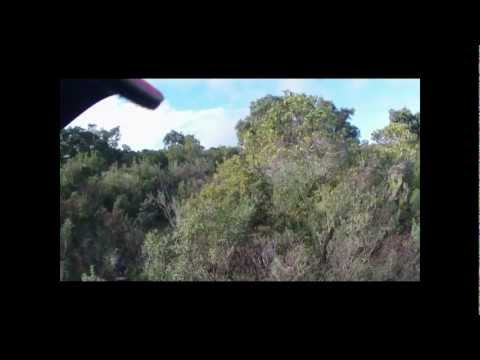 Caccia alla Beccaccia in Sardegna