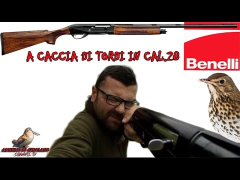 A caccia di Tordi in cal.28