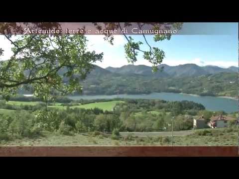 Caccia di selezione al Cervo a Camugnano 2012-2013