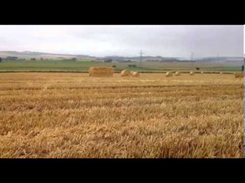 Caccia al Colombaccio in Scozia