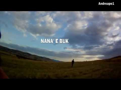 A caccia di pernici con il Setter Inglese