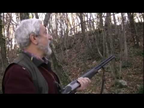 Caccia alla Beccacca in Puglia