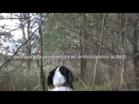 In ferma sulla Beccaccia