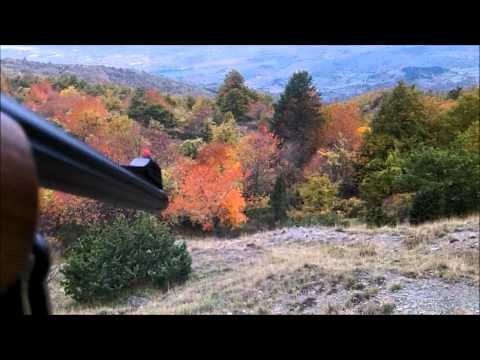 Caccia al Cinghiale: Tris di Cinghiali