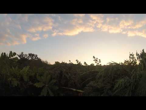 Caccia al Colombaccio