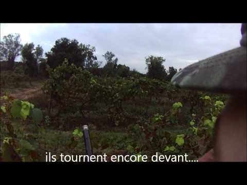 Caccia all\’estero: il Colombaccio in Corsica