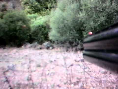 Caccia al Cinghiale in Sardegna