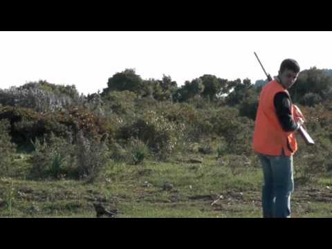 Gare cani da ferma CPA presso ZAC Taccurrulu