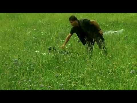 Addestramento Cani da Caccia