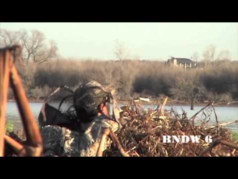 Caccia all\’estero: Caccia alle anatre in Texas