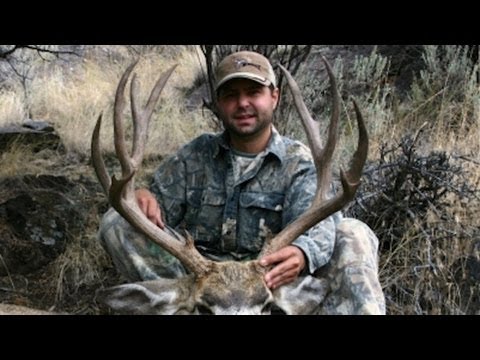 Caccia all\’estero: Caccia al cervo della Virginia