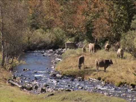 Caccia alle Pernici nei Pirenei