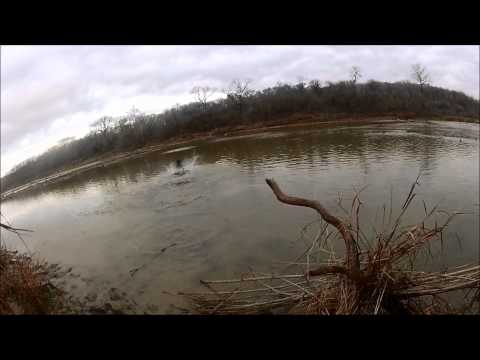 Caccia alle Anatre dal Capanno