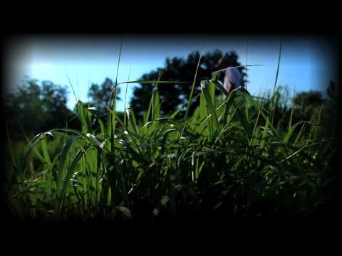 Food Plots Versus Native Vegetation for Deer Management