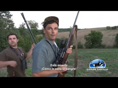 Caccia all\’estero: Caccia al Capriolo in Francia