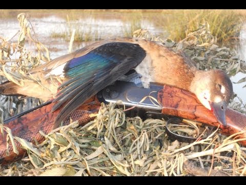 Caccia all\’estero in Argentina