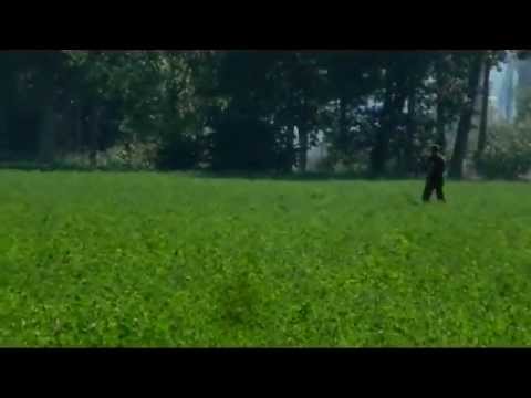 Cani – Gara su Starne