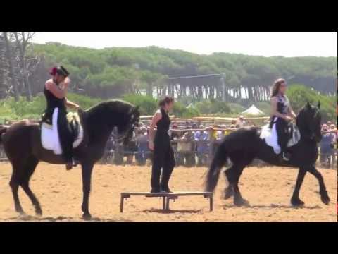 Game Fair 2012 a Tarquinia, i cavalli