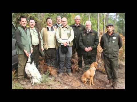 Cani – Campionato del Mondo 2011-12