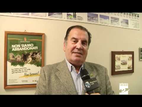 Recupero della Fauna Selvatica