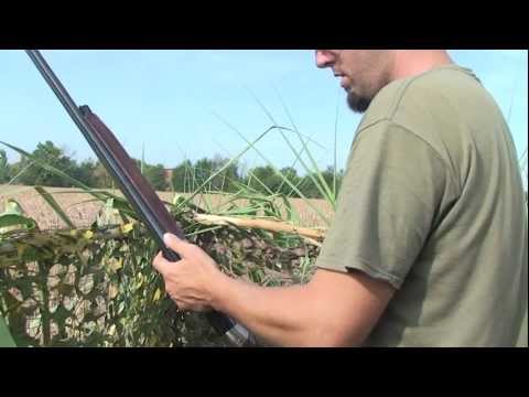 Caccia al Colombaccio nel campo