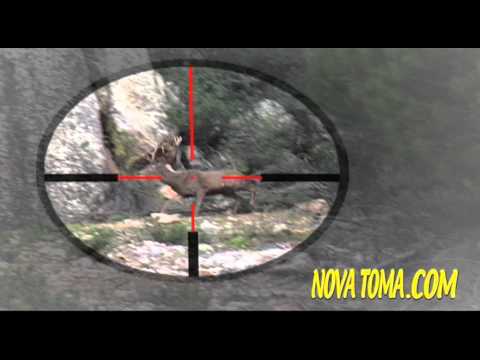 Caccia agli Ungulati in Spagna – Quarta Parte