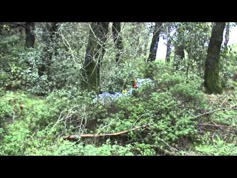 Caccia alla Beccaccia