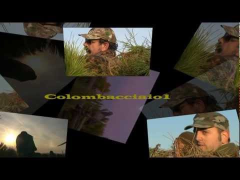 Caccia al Colombaccio nel Tombolo