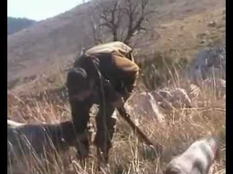 Caccia alla Beccaccia