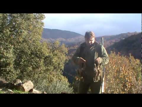 Caccia alla Beccaccia in Sila