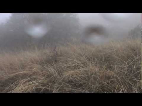 Caccia in Macedonia 2