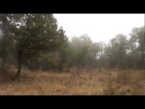 Caccia in Macedonia 1