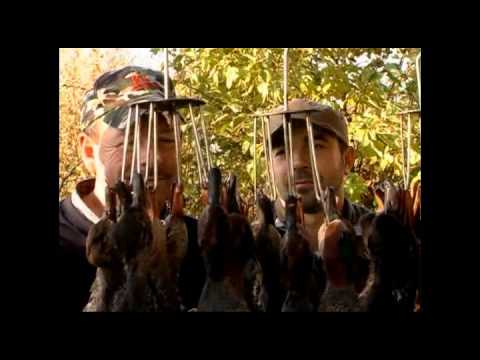 Caccia alle Anatre – 2a Parte –