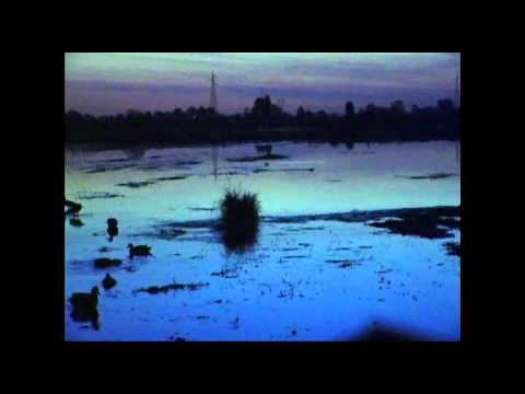 Caccia alle Anatre – 1a Parte –