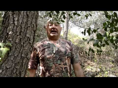 L\’Invito di Gelso Rosso