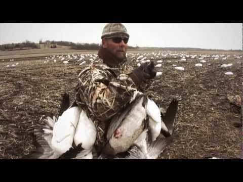 Snow Goose and Speck Hunting in Southern Illinois: Fowled Reality EP5