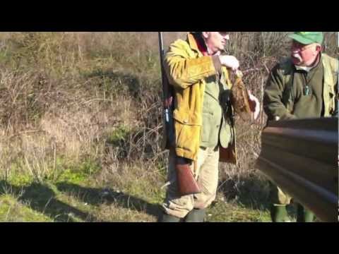 Caccia alla Beccaccia