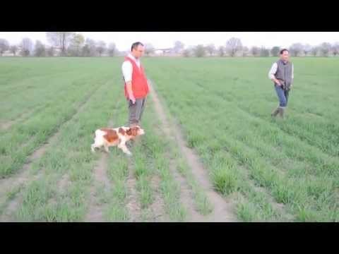 Addestramento alla Ferma