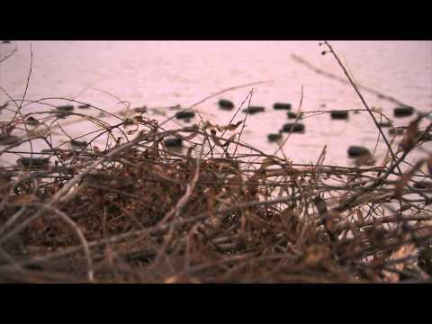 Duck and Goose Hunting Warm Weather: Fowled Reality EP4